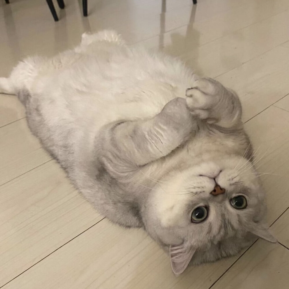 躺躺