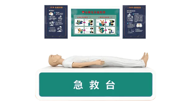 心肺复苏救助体验实训