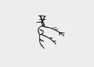 凤字甲骨文写法_字形演变图片