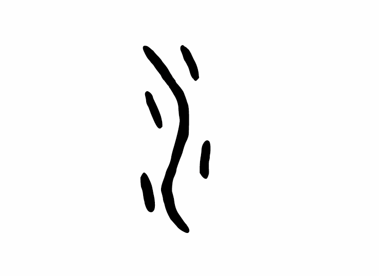 水字甲骨文写法 水字甲骨文写法_字形演变图片