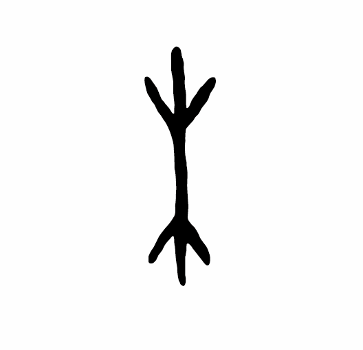 木字甲骨文写法 木字甲骨文写法_字形演变图片