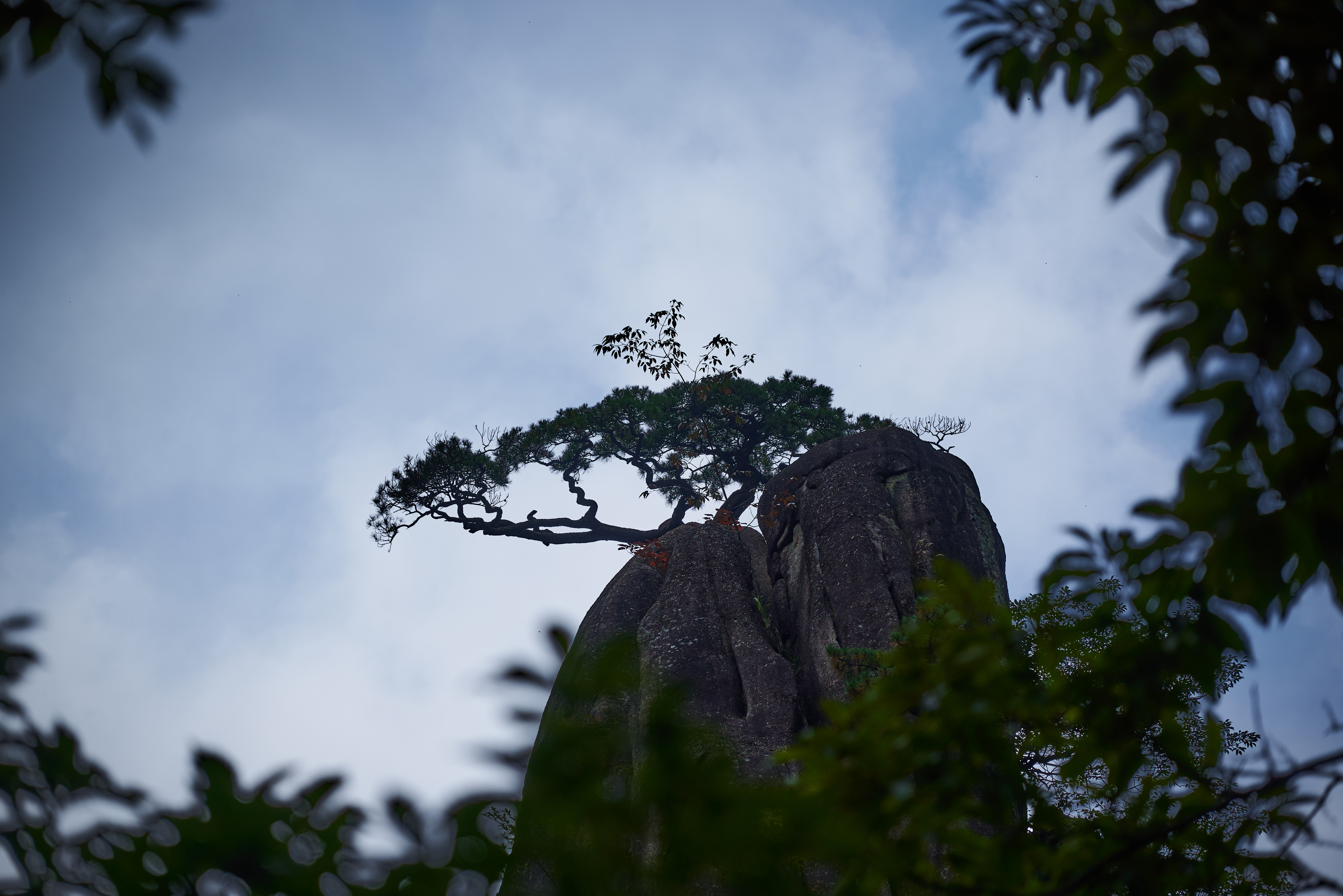 微单|黄山 - 照片 3