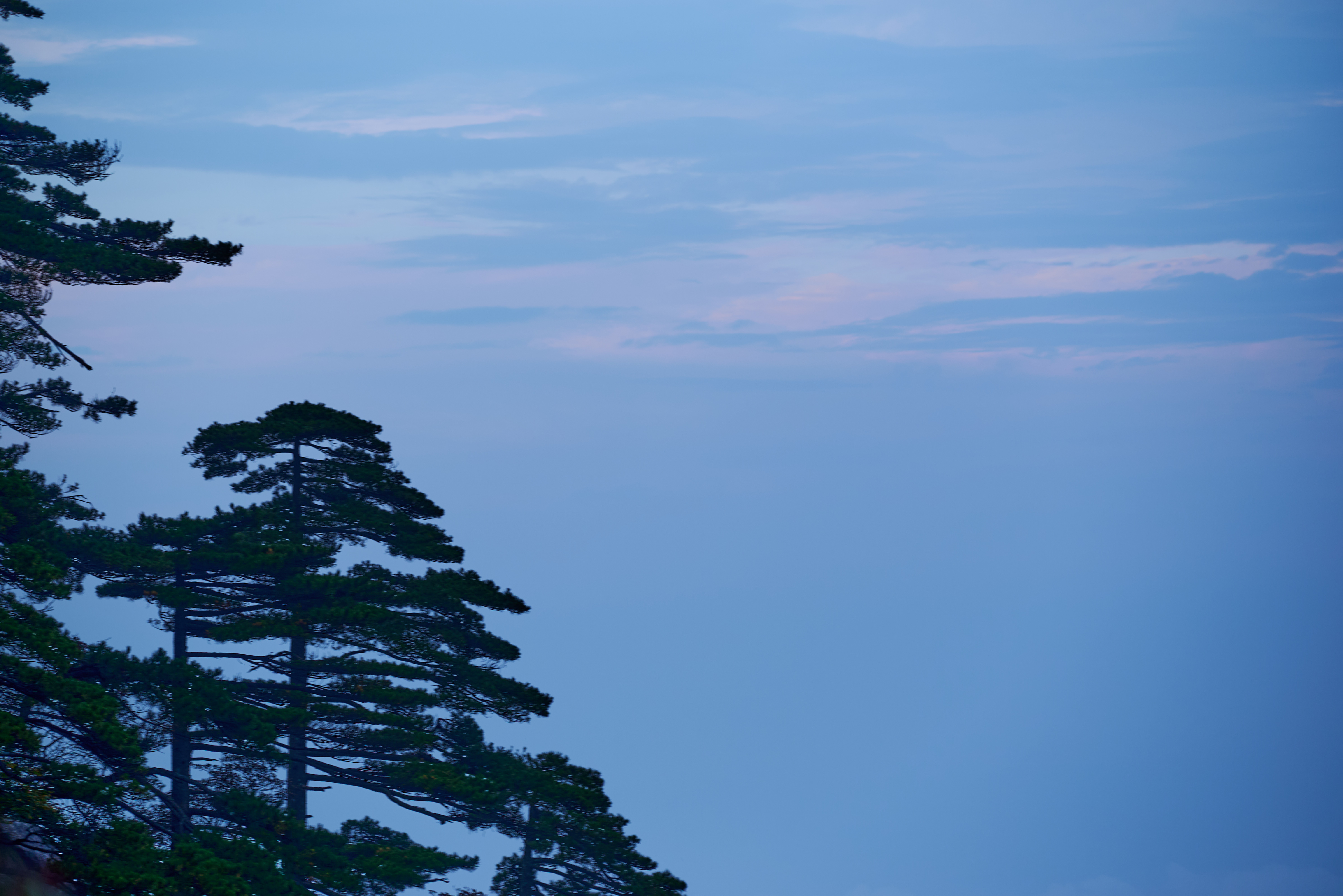 微单|黄山 - 照片 12
