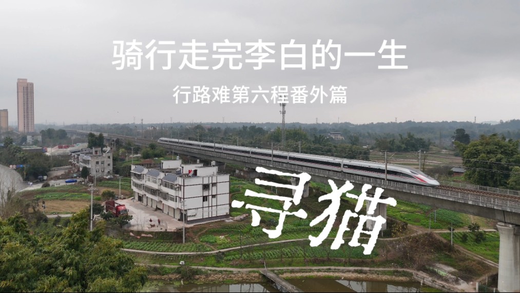 骑行走完李白的一生丨行路难第六程番外篇：新疆出发，荣昌寻猫