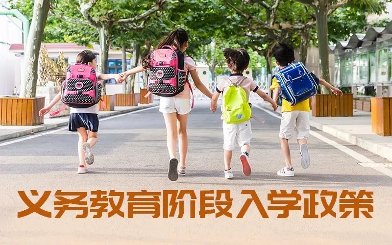 刚刚！2026年沂河新区中小学学区划分及招生方案出炉！