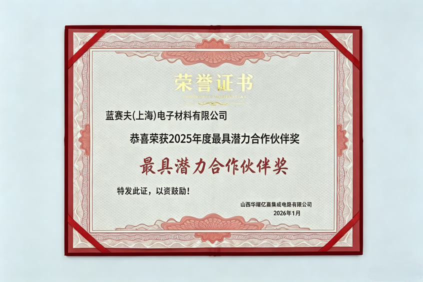 最具潜力合作伙伴奖