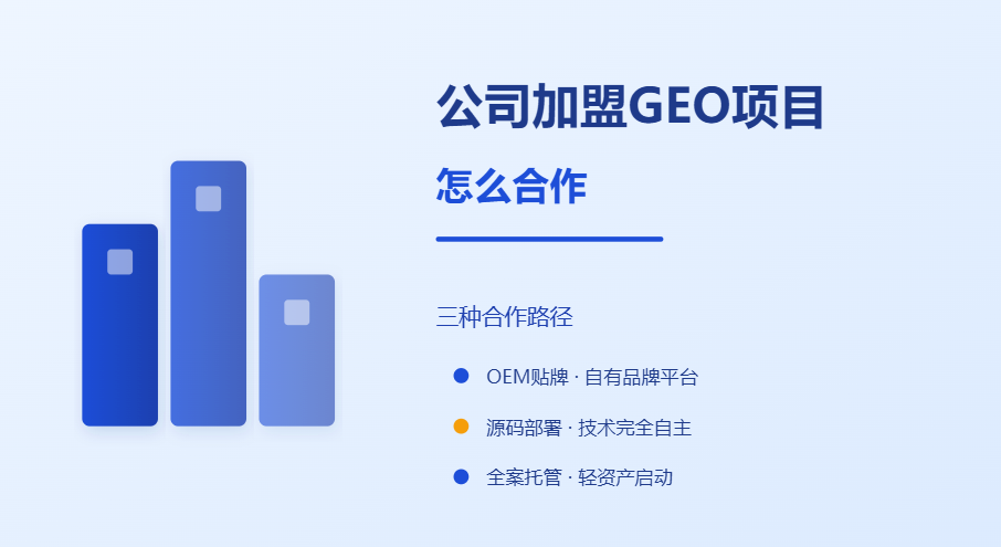 公司想加盟GEO优化项目怎么合作