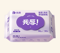 纯水款湿厕纸 · 90g厚90抽