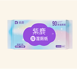 纯水款湿厕纸 · 便携装10抽